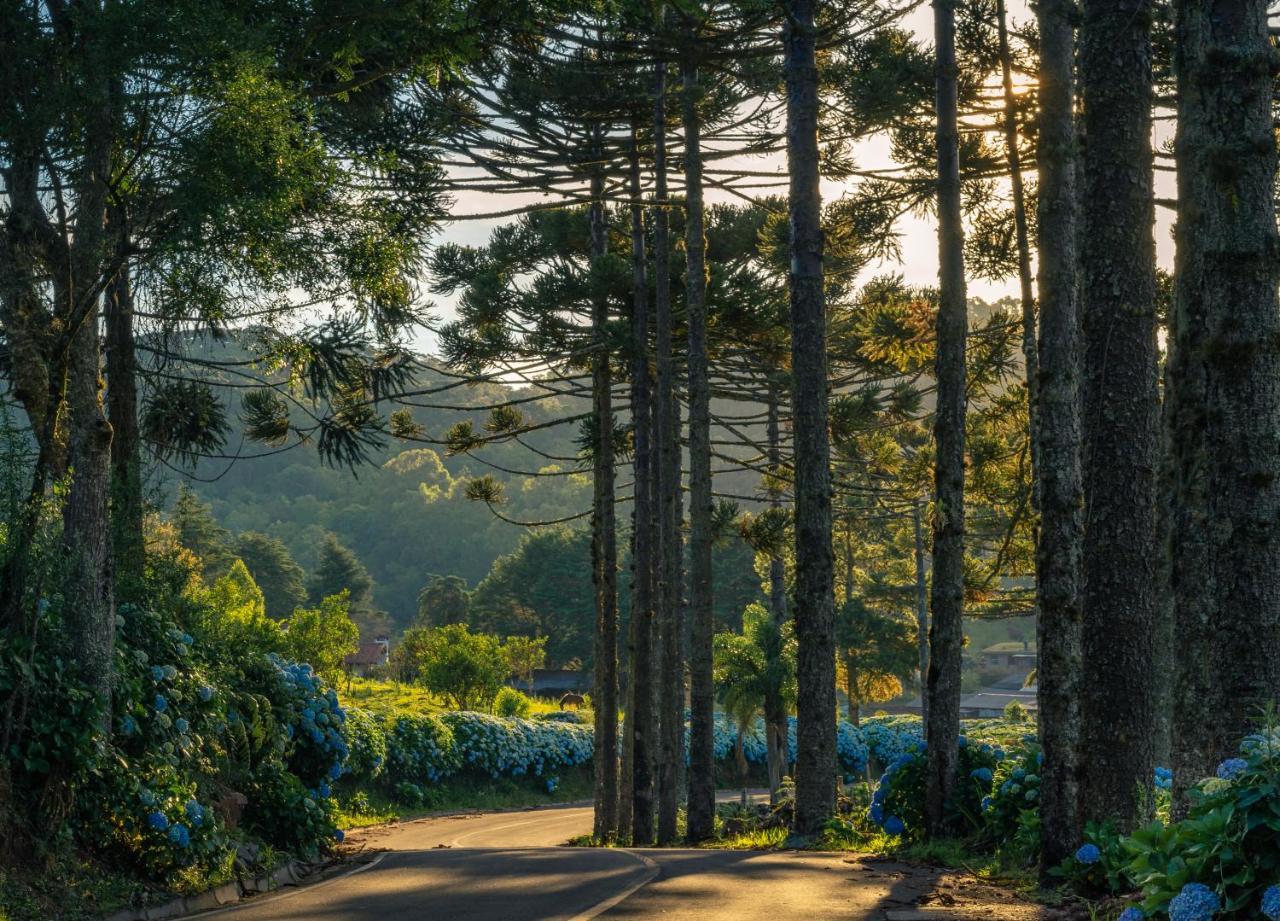 Hotel Fioreze Chales Gramado Eksteriør billede
