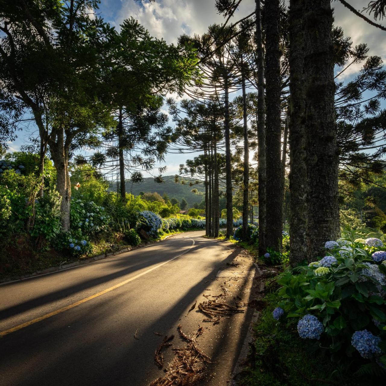 Hotel Fioreze Chales Gramado Eksteriør billede